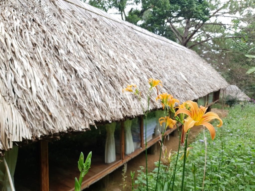 6 điều giúp bạn chắc chắn thành công khi thiết kế FarmStay