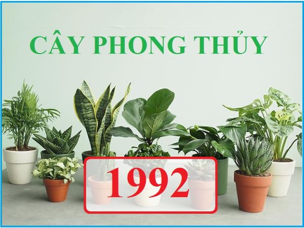 Tuổi Đinh Mão 1987 hợp với cây gì để mang lại nhiều may mắn, tài lộc? - 9