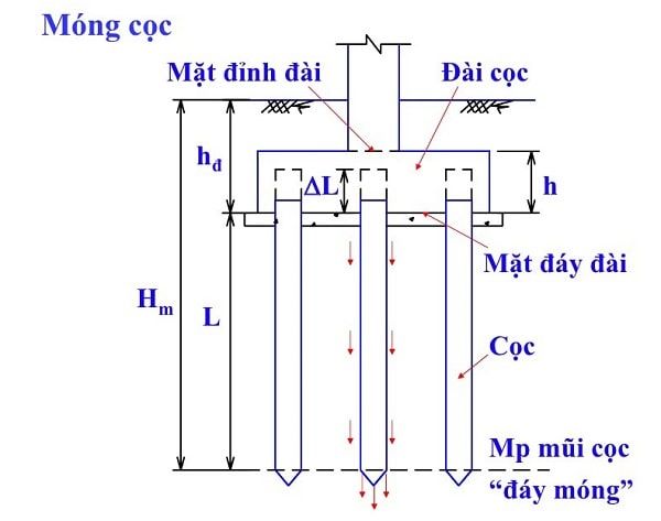 Bản vẽ móng cọc nhà 2 tầng được nhiều người lựa chọn - 5