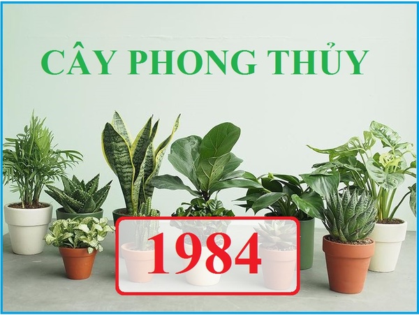 huong-ban-tho-tuoi-1984-2