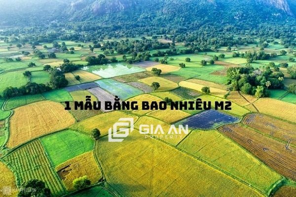 Sào là gì? 1 sào bằng bao nhiêu m2? Cách quy đổi đơn vị diện tích sào