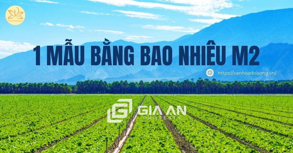 Sào là gì? 1 sào bằng bao nhiêu m2? Cách quy đổi đơn vị diện tích sào