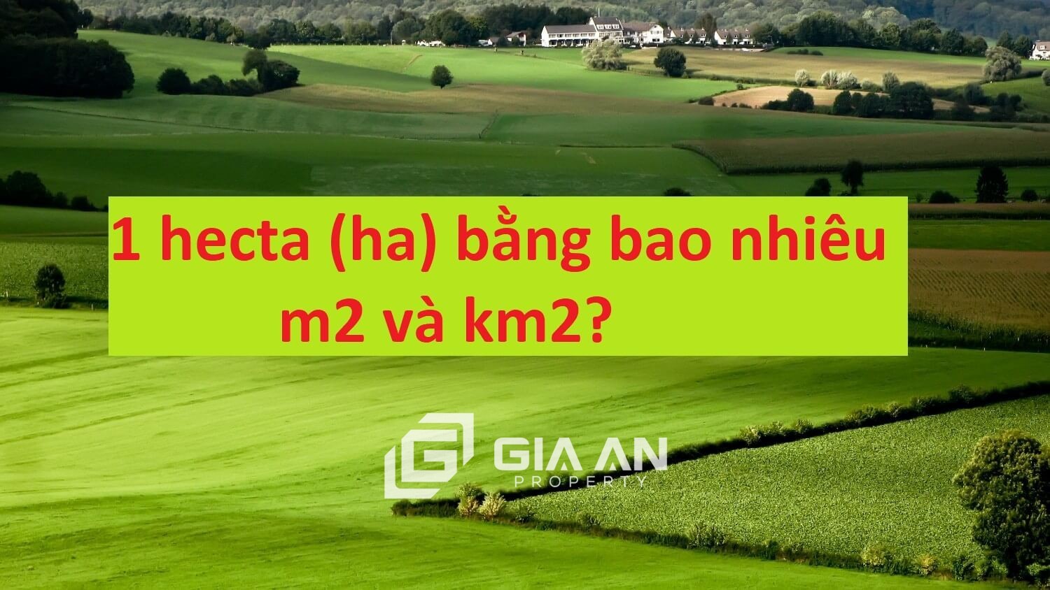 Sào là gì? 1 sào bằng bao nhiêu m2? Cách quy đổi đơn vị diện tích sào