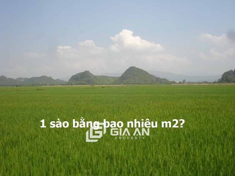 Sào là gì? 1 sào bằng bao nhiêu m2? Cách quy đổi đơn vị diện tích sào